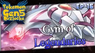 7th Gym Fight ! | X - Generation Randomizer Nuzlocke