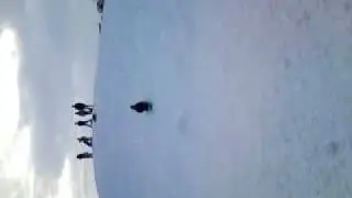 Sledging at Worcester Country Park