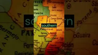 Pineapples: A South American Surprise! Tracing the Journey of this Tropical