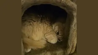 The gentle spark