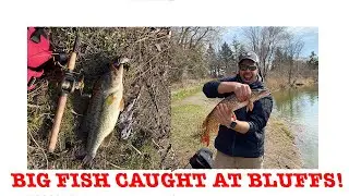 WE CAUGHT A BASS!!! | Pond Snatchers S1:E1 | Scarborough Bluffers Park Fishing