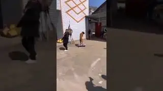 Scooter Dog Takes a Tumble: Hilarious Crash Caught on Camera! #shorts #fyp #memes #funny #viral