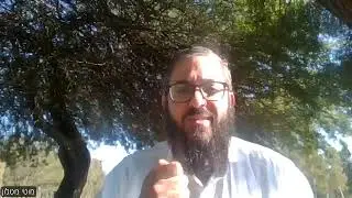 דבר תורה לפרשת וארא. נלימוד שבין המכות. מוטי מטלון. לע
