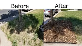 The No-Dig/No-Till Method Of Gardening