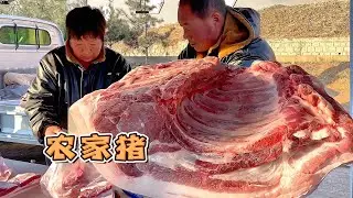 北方人囤豬肉熱火朝天，400公斤大肥豬華哥開張一下賣一頭豬，這頭豬顏色太漂亮了【玖叔v​​log】#pork #猪肉 #玖叔vlog#华哥猪肉#玖叔猪肉#豬肉