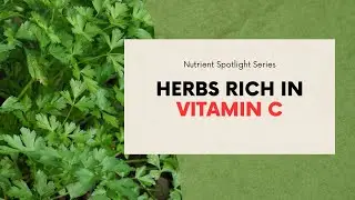 Herbs Rich in Vitamin C