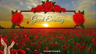 Good Evening Beautiful Video | whatsapp status video | Chiranjit B