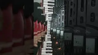 Full tutorial in comments on CASIO SA-78 #music #casiokeyboard #casio #song #instrumental #radhe opp