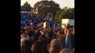 bernie2016