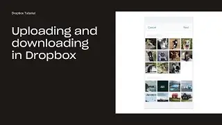 How to upload and download in Dropbox | Dropbox Tutorials | Dropbox