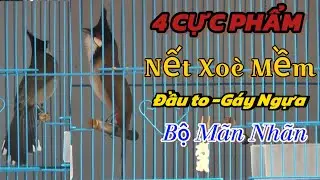 12/1:4BỔI TUYỂN CHỌN-NẾT XOÈ MỀM |ĐẦU TO -GÁY NGỰA|BỘ GIỮ TƯỚNG-CHƠI CÁNH NHƯ QUẠT |TÔI YÊU ĐỘNG VẬT