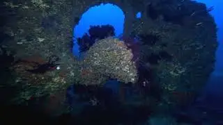#wreckdiving #wreckdive #france #4k #Grec #plongerennormandie #owda #aqualondeplong&eacute;e #aqualonde