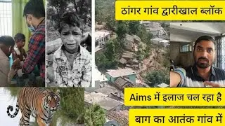 द्वारीखाल ब्लॉक ठांगर गांव बाघ ने किया हमला || बाग का आतंक || हालत कब सुधरेंगे ?