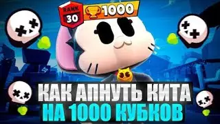 КАК ВЫ ЕТО СДЕЛАЛИ? Пуш кита Бравл старс