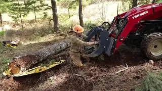 How To Build A Single Log Bridge 2