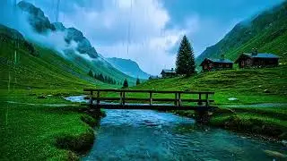 10 Hours Comfortable Rain Sounds for a Good Night's Sleep │ Relaxing │ Calming │ Peaceful