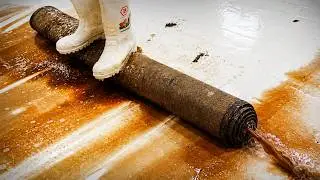 This Rug Was ACTUALLY CRAWLING&hellip; Wait Until You See What&rsquo;s Underneath Satisfying ASMR Carpet Cleaning