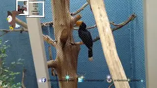 A Day At The El PASO Zoo