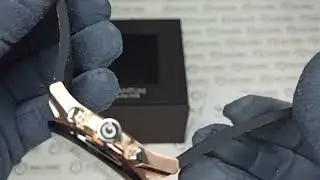 Наручные часы QUANTUM PWG970.852