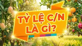 Tỷ Lệ C/N L&agrave; G&igrave;? Tại Sao Nh&atilde;n Ph&acirc;n B&oacute;n L&aacute; N&agrave;o Cũng C&oacute;?