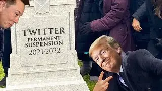 BREAKING: He's Back -- TRUMP'S Twitter account REINSTATED #twitter
