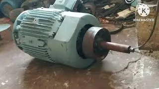 Flame proof 3 phase induction motor Rotor bearing changed
