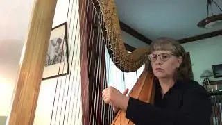 Dangerously in Love - Beyonce (Harp Cover)