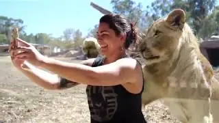 Lion Pride Lands is now open at Taronga Western Plains Zoo Dubbo