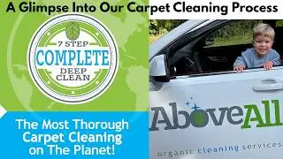 A Glimpse Into the Above All Services Organic Carpet Cleaning Process