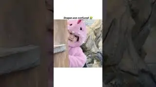 She came as a dragon&hellip; left as a cat, dog, and cuteness overload 🥹💗 #meow #fun