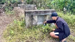 Searching for the old, desolate place where trees had overgrown and obscured the grave.