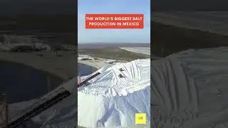 World Biggest Salt Producer Mine - Guerrero Negro - Mexican Salt Mine