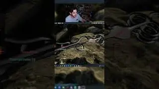 Twitch Moments - I Admire the Effort #gamer #gaming #pcgaming #pcgamer #twitch #twitchclips
