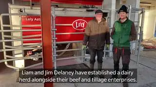 State of the art cubicle shed for grass based robotic milking with a Lely robot