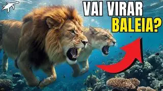 LEÕES que estão virando PREDADORES MARINHOS