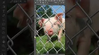 Learn Photoshop for beginner   Photoshop Basic Tutorials Tips #shorts #photoshop # 476