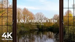 4K lake window view with animals during sunset - Relaxing, Calming, Ambience,
