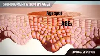 +62-813-28OO-2OO4, Skin Brightening, Temana Noni Brightening Research Confidentiality