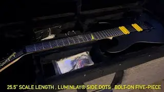 Jackson MJ serie Dinky - Unboxing and testing