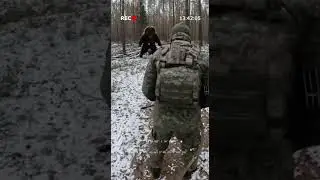 GRIZZLY BEAR ATTACKS RUSSIAN SOLDIER HUSKY SAVES HIS LIFE #sora2 #americanbear #viralreel #blackbear
