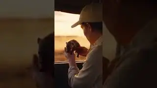 Hyena Gives Its Cub to Family While Fleeing Unexpected Danger #wildlife #nature #animals