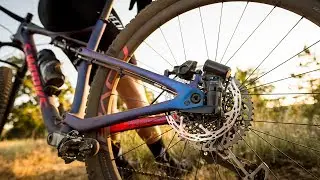 Meet the New Specialized Brain