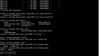 How to assign the disks in Netapp cluster mode 8 X    By saroj