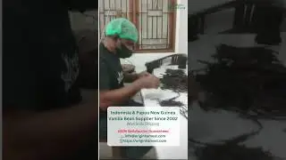 Indonesia Vanilla Bean Supplier, vanilleboon, vaina de vainilla, gousse de vanille