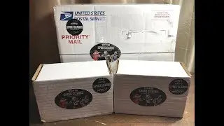 Certified Sports Card high end and regular - which is the better value?