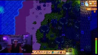 STARDEW VALLEY P1 Shipping Mastery Conch, Sand Dollar, Diamond Cave Flower!!!