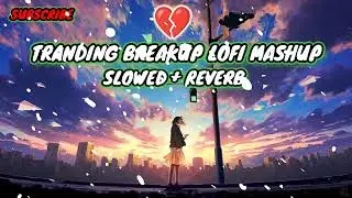 Heartache Harmonies: A Lofi Breakup Mixtape