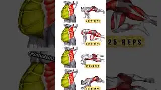 ✅EJERCICIOS PARA BAJAR LA GRASA  #abdominales #shorts