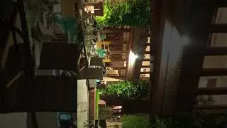 Music at Serena Hotel's Fsd. BBQ Night,