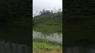 Gloomy solo walk music credit : Charlie Puth Attention #srilanka #gloomy #letmelive